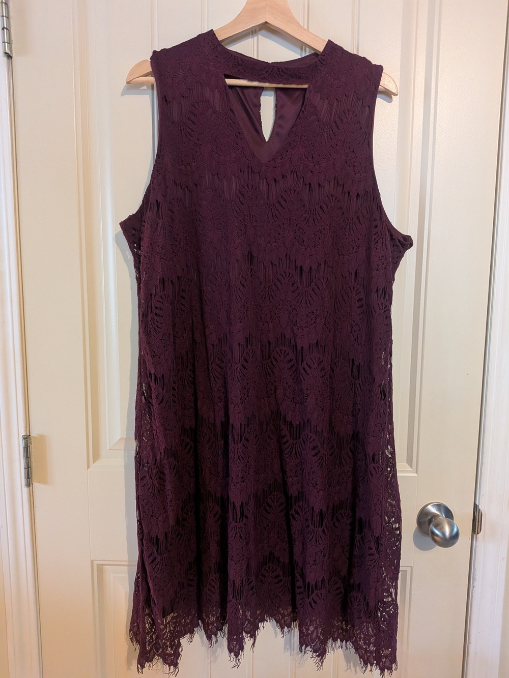 NWOT Gorgeous Deep Plum Sleeveless Lace Shift Dress